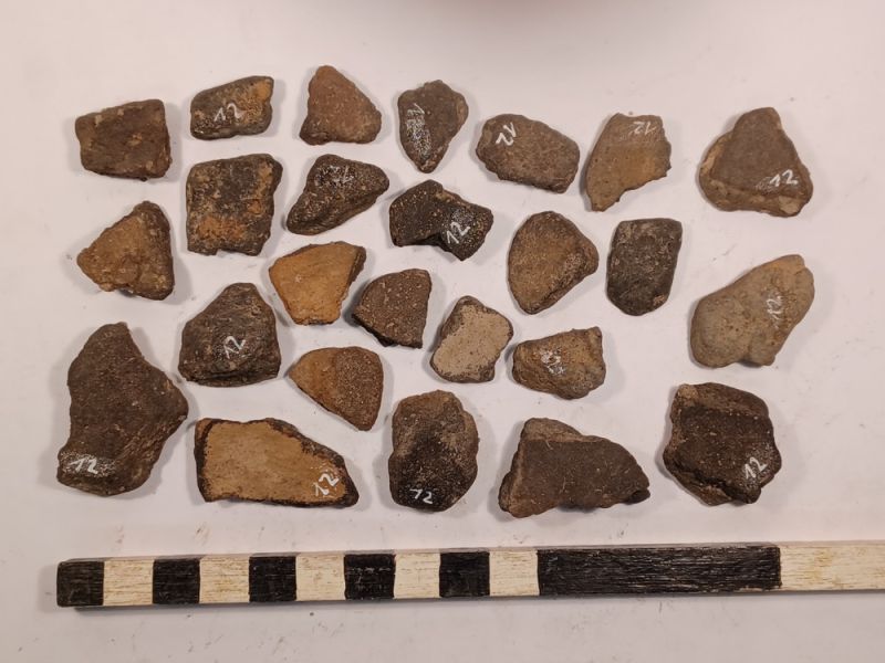 Datei:12 I 2 17278919787443986699701298528733.jpg