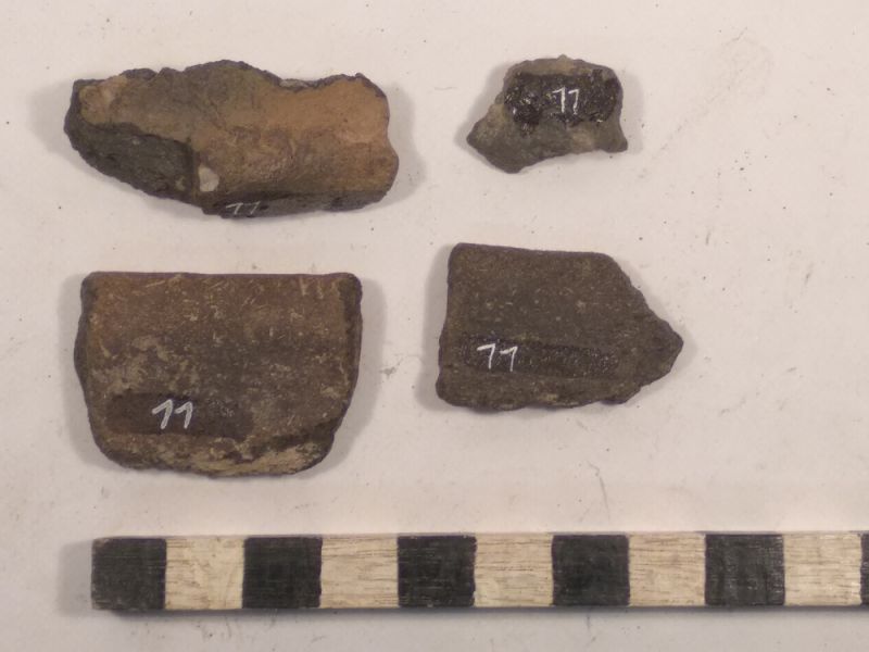 Datei:11 I 4 17272888627964299805834590319708.jpg