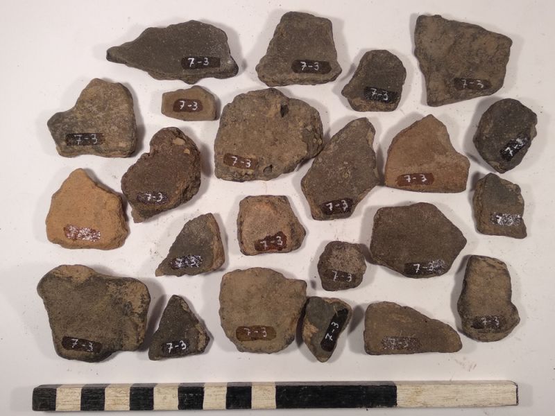 Datei:7 I 3 17188165267528278832605506088783.jpg