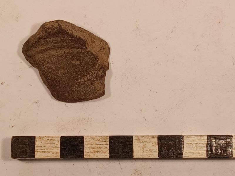 Datei:12 I 1 17278909942147597893674620849251.jpg