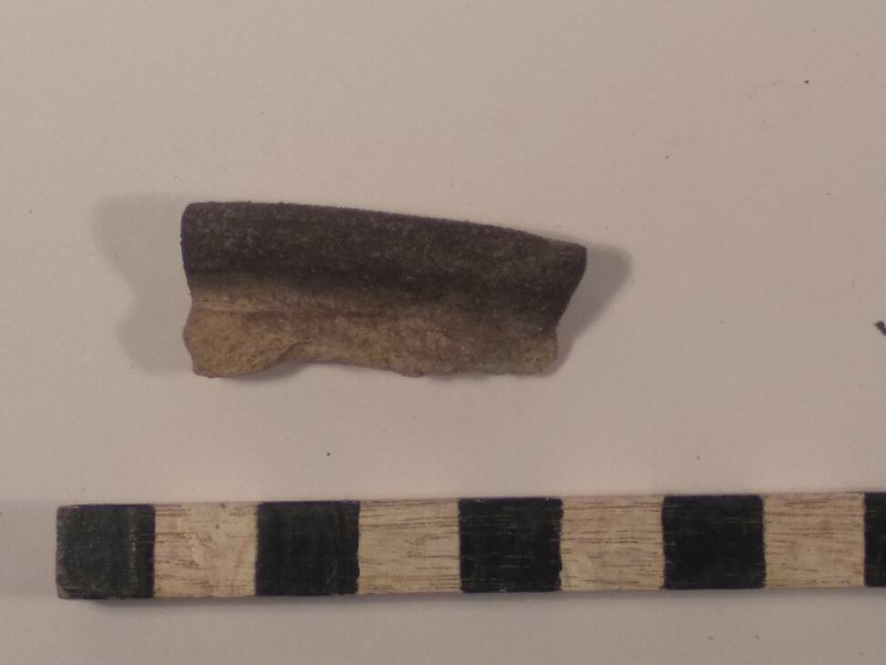 Datei:6 IV 1 17176118394177625867586186547023.jpg