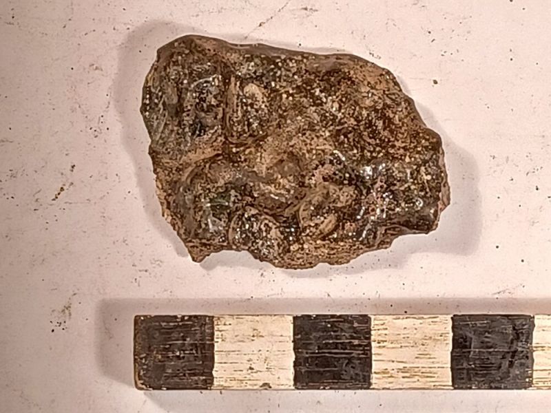 Datei:159 I 1 20220629 195643.jpg