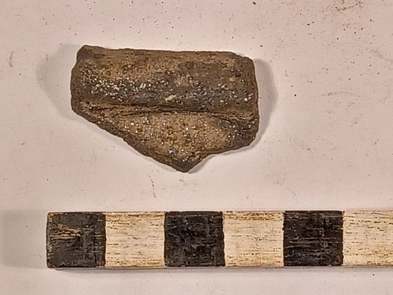 Datei:11 I 1 17212400254167450794780780876970.jpg