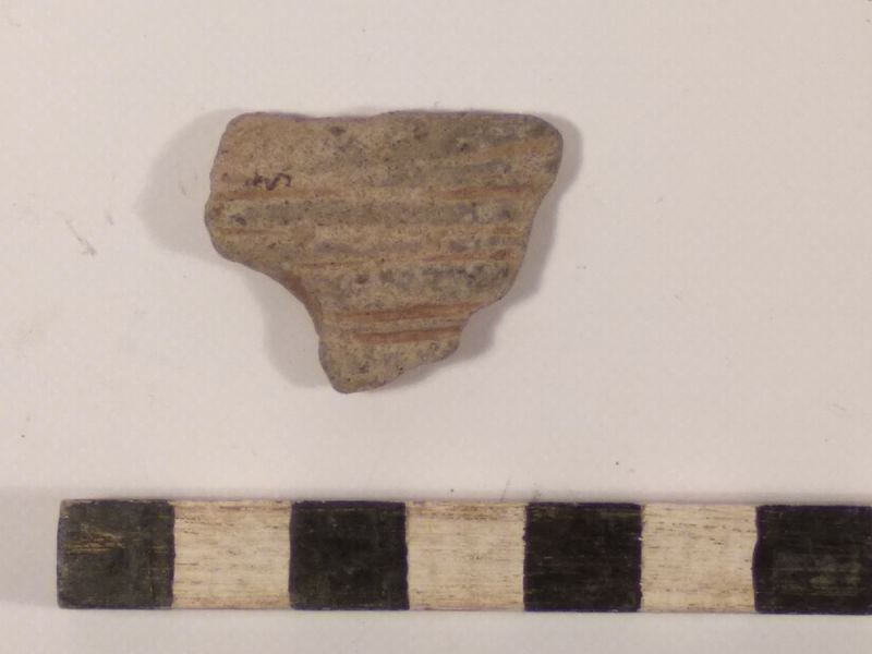 Datei:6 I 1 17170042555478266036555766808396.jpg