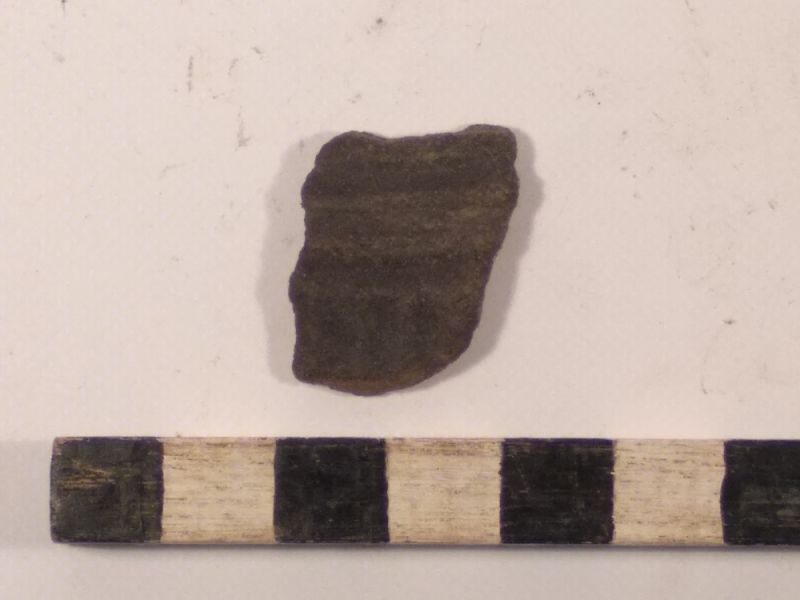 Datei:7 I 2 1718814987548234454221033355610.jpg