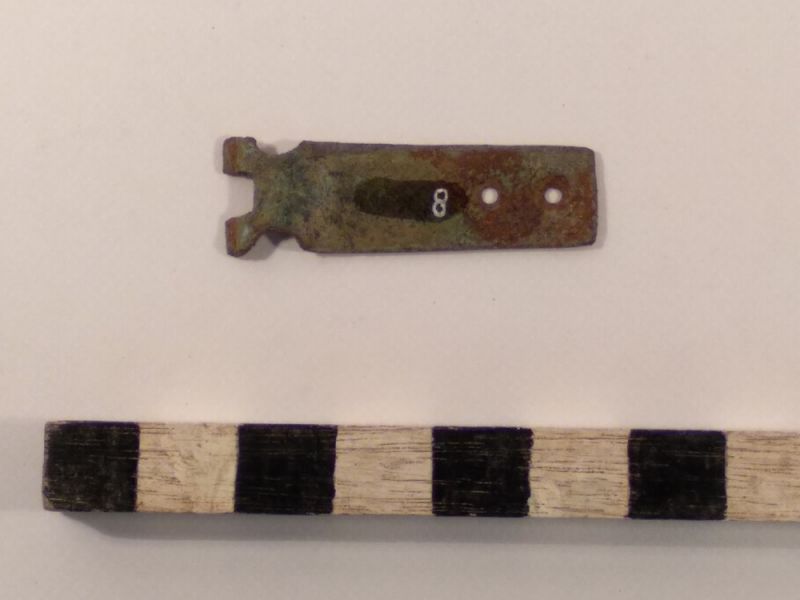 Datei:8 II 1 17132893323863128216920561631897.jpg