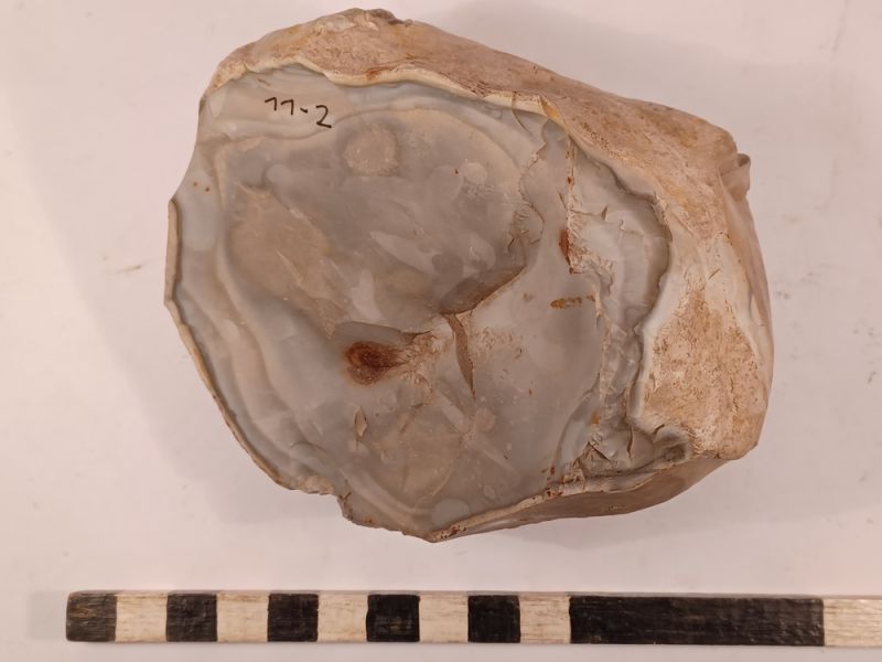 Datei:11 I 2 17212403282615326703367528698439.jpg