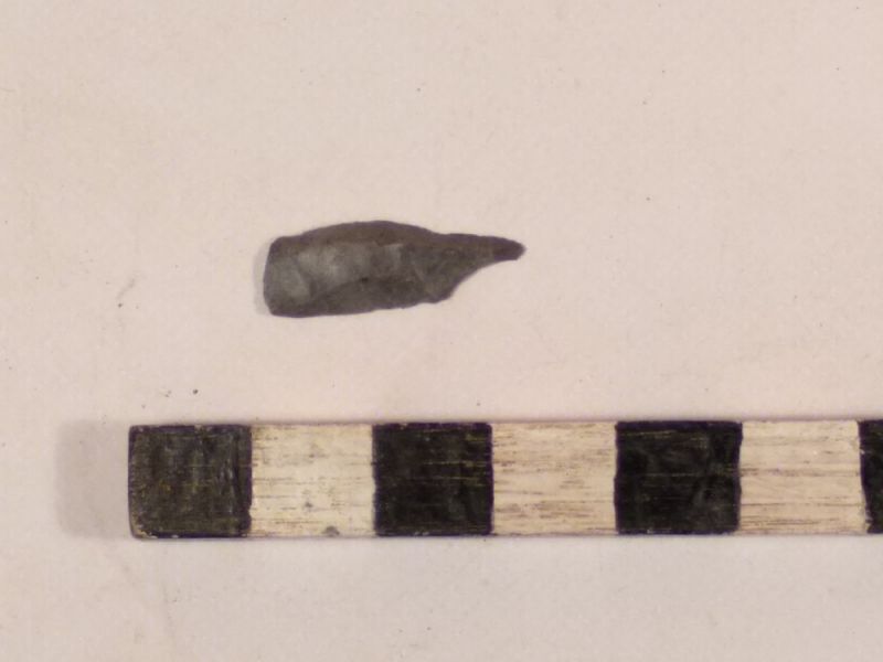 Datei:2 I 1 16782979591458847586326017262519.jpg