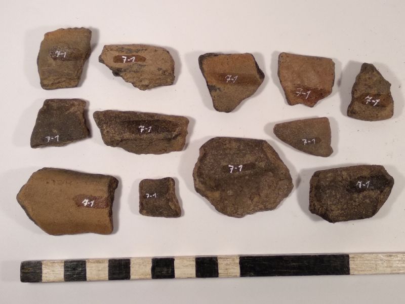 Datei:7 I 1 17182161553428109627308660395522.jpg