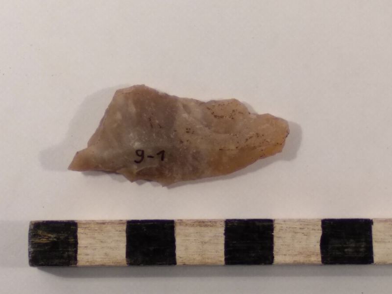 Datei:9 I 1 1713287327938300723564385042557.jpg