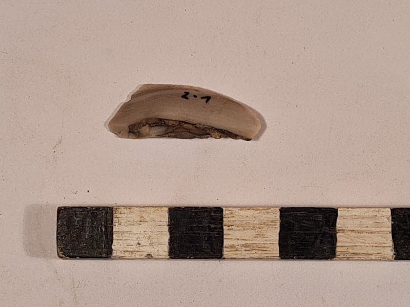 Datei:2 I 1 20230308 190748.jpg