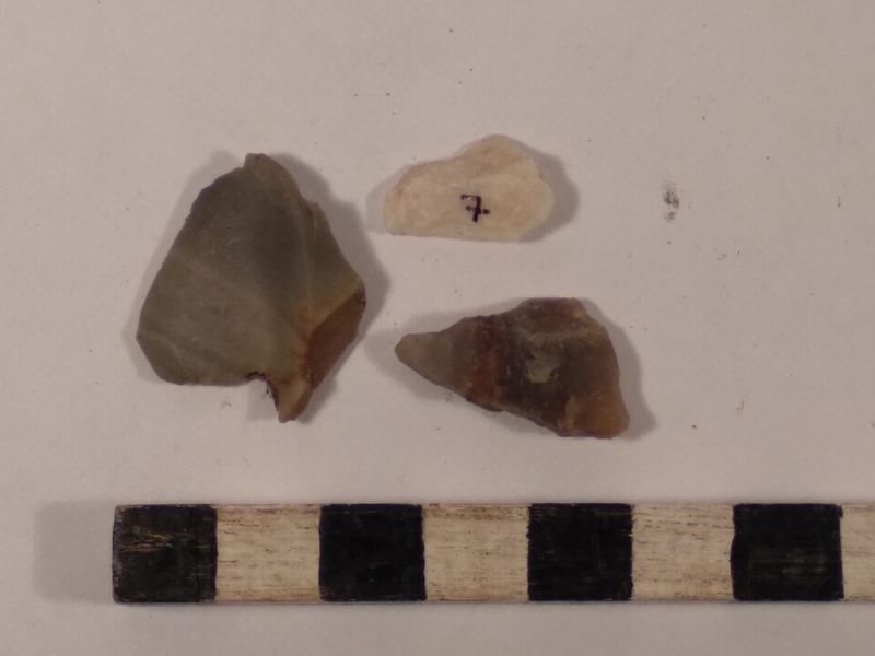 Datei:7 I 4 17188184116861796843244500962794.jpg