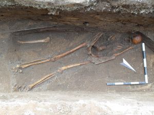 St. Michael-Friedhof Skelett 1.jpg