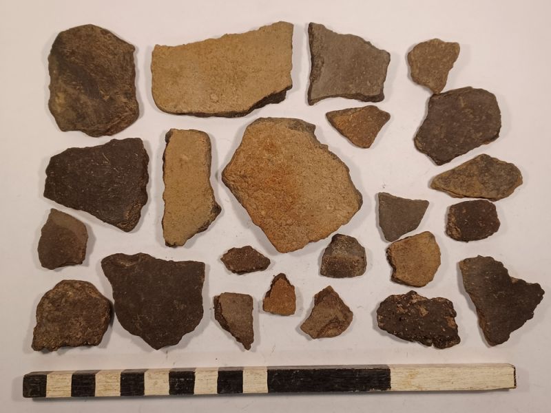 Datei:12 I 5 17278933359246004732444565554794.jpg