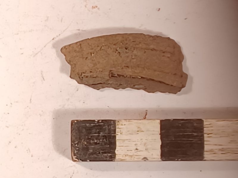 Datei:159 I 1 20220629 200910.jpg