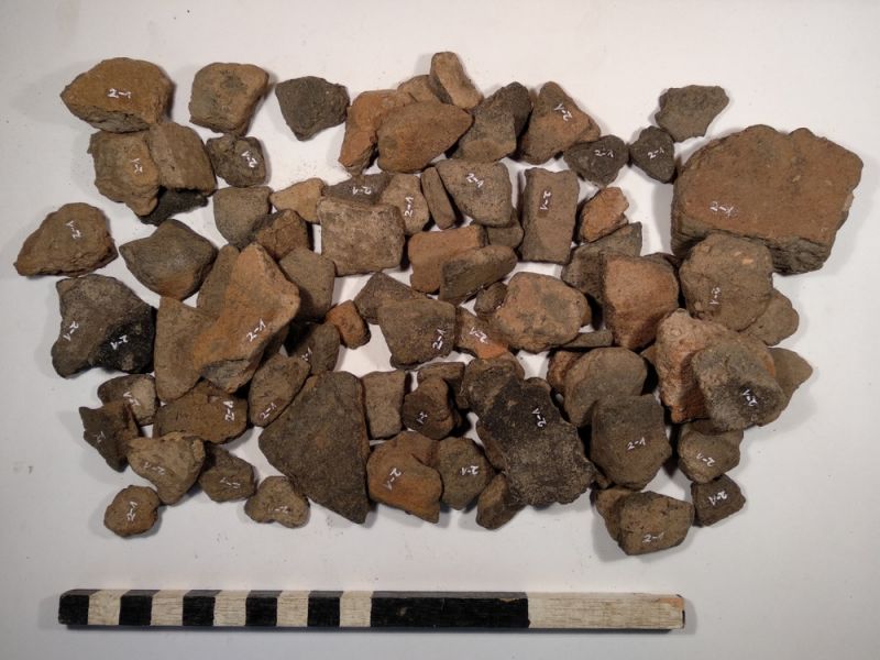 Datei:2 I 1 16783003684858940193418629845149.jpg