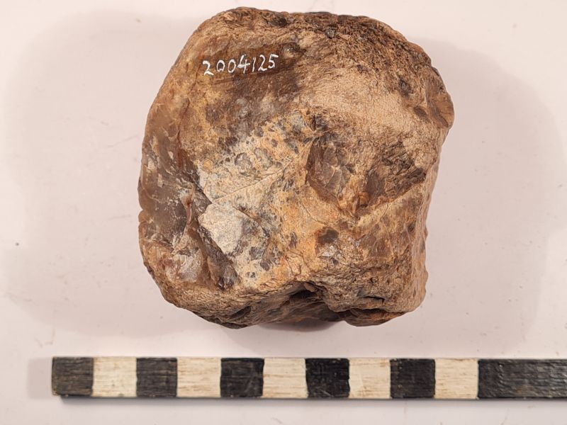 Datei:5 III 3 20220309 192335.jpg