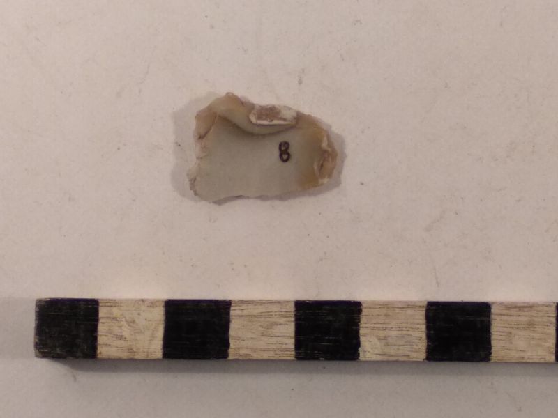 Datei:8 I 1 17139820717333734118769292662464.jpg