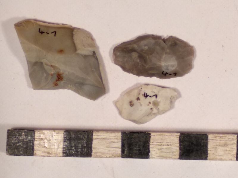 Datei:4 I 1 167950792960718656925578877598.jpg