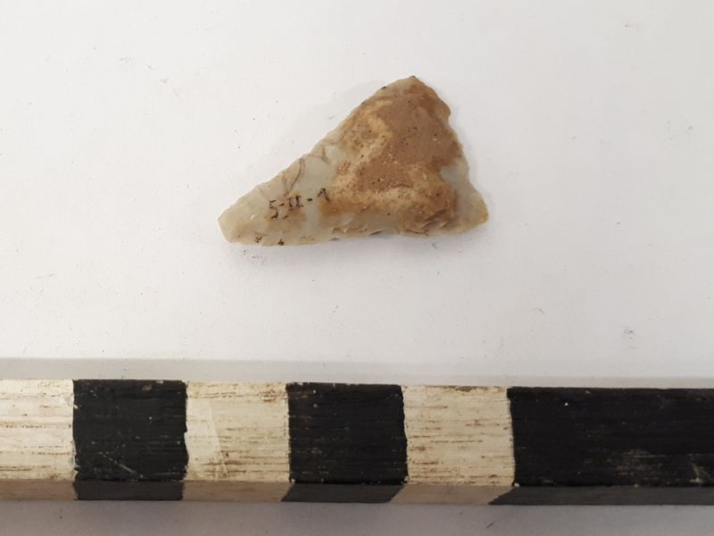 Datei:5 II 1 20201104 194305.jpg