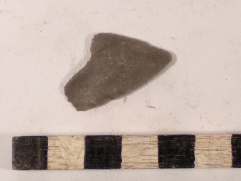 Datei:6 V 1 17182129959673838020379235031534.jpg