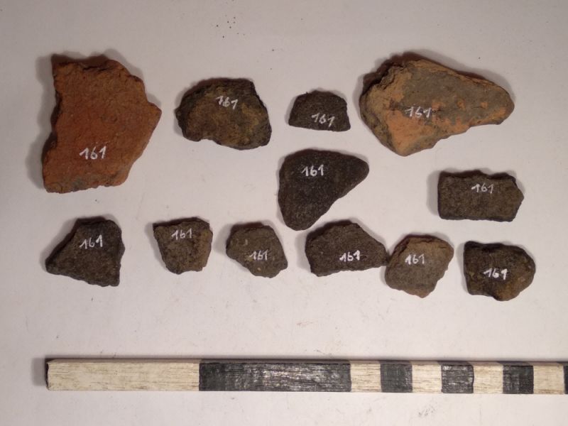 Datei:161 I 1 17049124131597120126739370404498.jpg