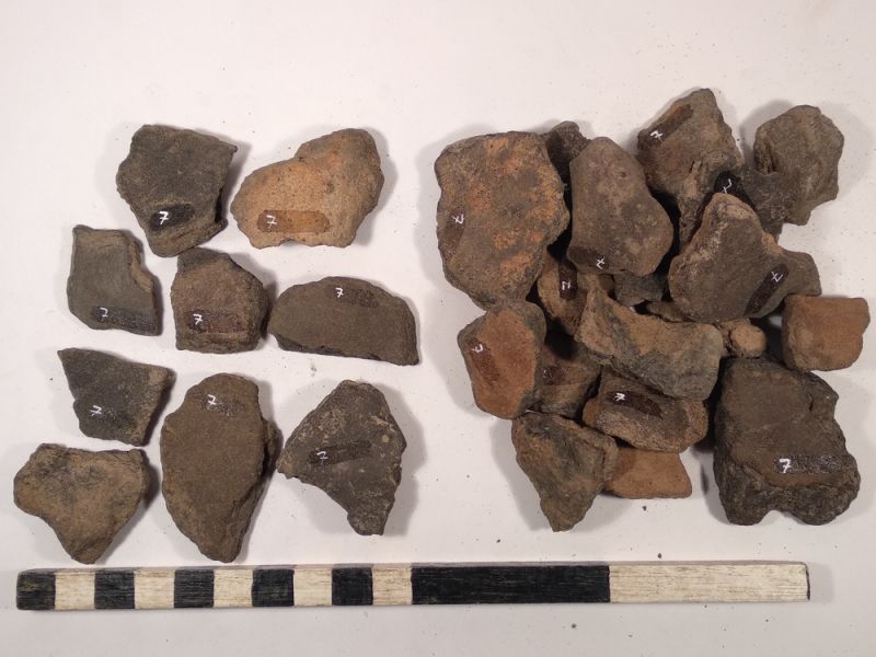 Datei:7 I 4 17188187437205969108314530750819.jpg