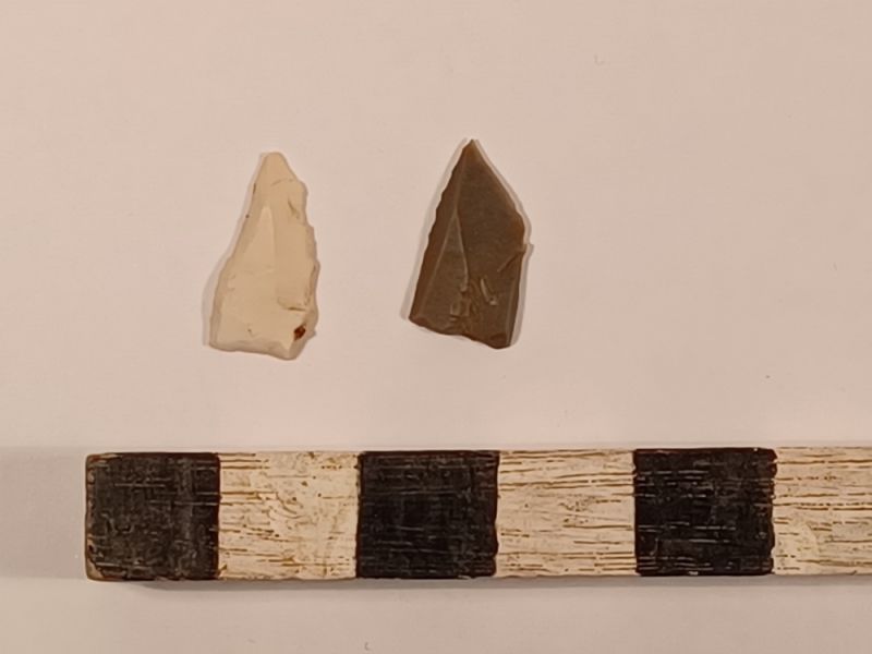 Datei:11 I 1 17212389042233820367254613862307.jpg