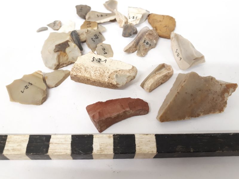 Datei:5 II 1 20201104 190756.jpg