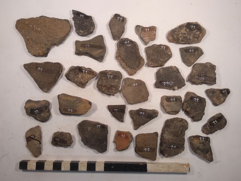 Datei:11 I 4 17272890186685390770082691292950.jpg