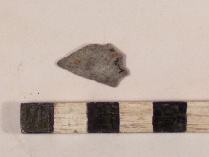 Datei:2 I 1 16782980651204116004190134181762.jpg