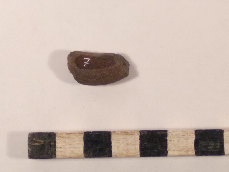 Datei:7 I 4 17188179706533609502511146228683.jpg