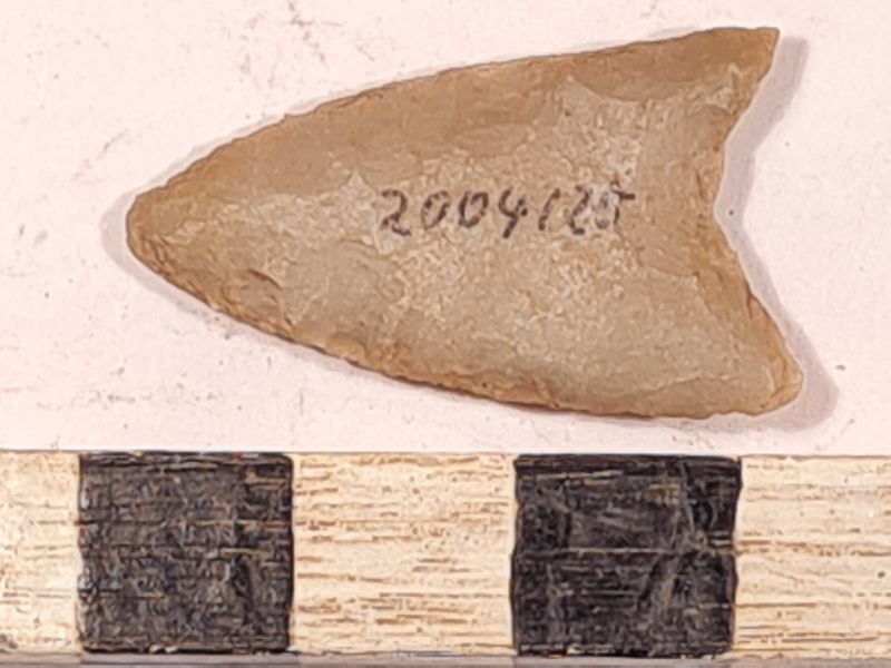 Datei:5 III 3 20220309 193551.jpg