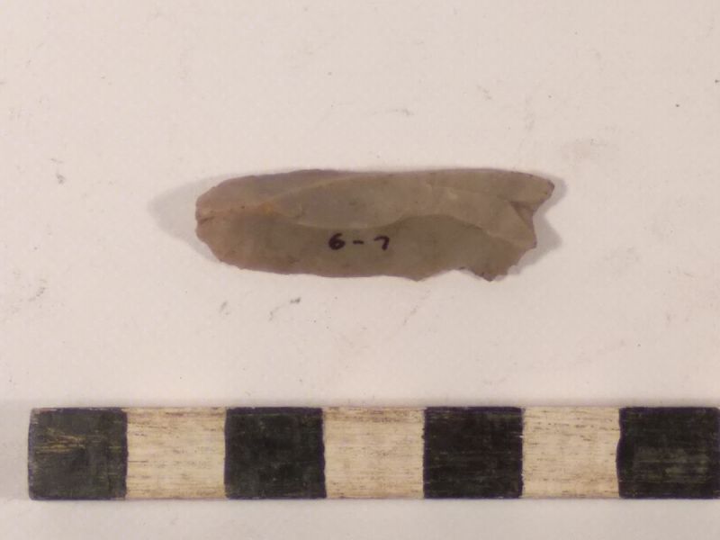 Datei:6 I 1 17170054681638617158967726636468.jpg