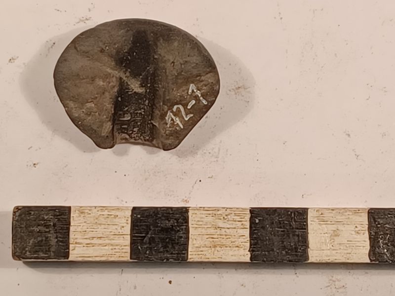 Datei:12 I 1 17278903365422579899444230467567.jpg