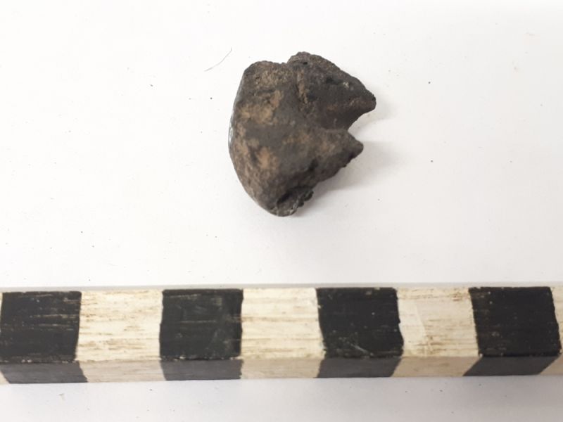 Datei:5 I 3 20201028 200610.jpg